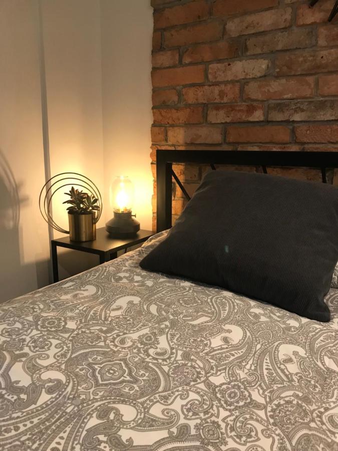 Apartament Ko-Piernika W Toruniu, W Sercu Torunskiej Starowki Extérieur photo